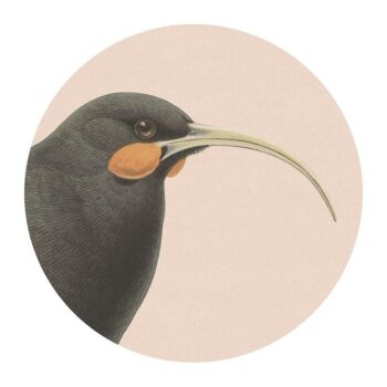 Hushed Pink Huia Placemats - Pack of 2
