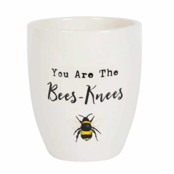You Are the Bees Knees Ceramic Plant Pot