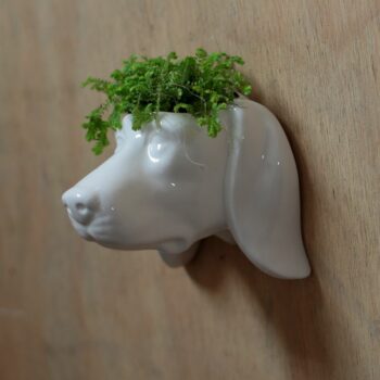 Ceramic Wall Planter – Dog Head