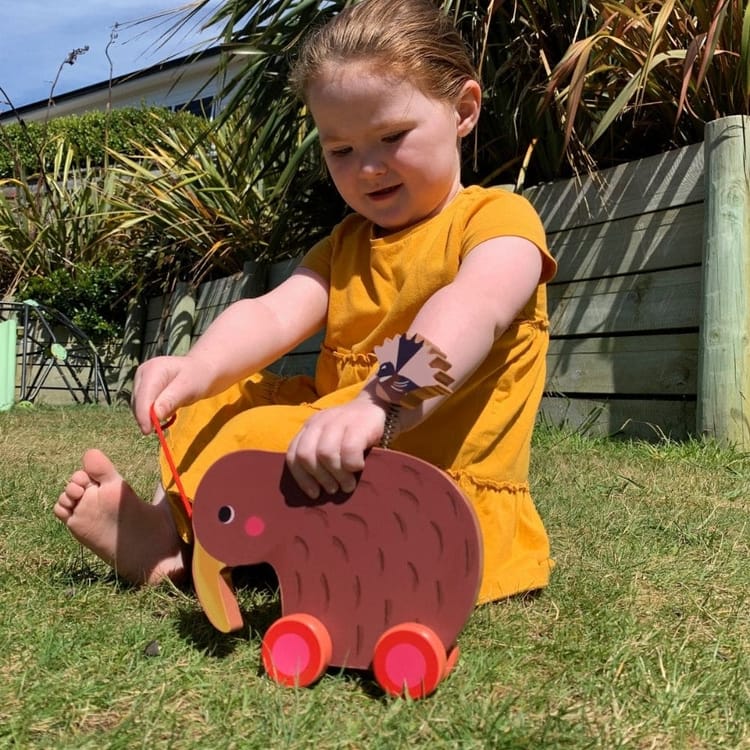 Wheelie Kiwi & Pīwakawaka Friend Pull Along Toy