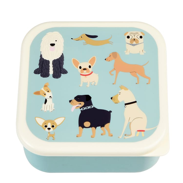 Best In Show Snack Boxes (Set of 3)