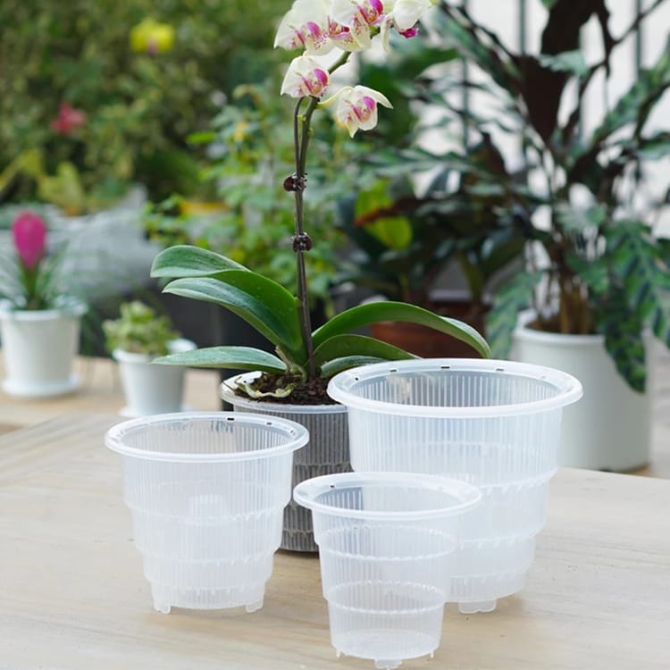 Clear Orchid Pot with Holes - Small