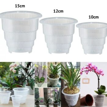 Clear Orchid Flower Container Planter