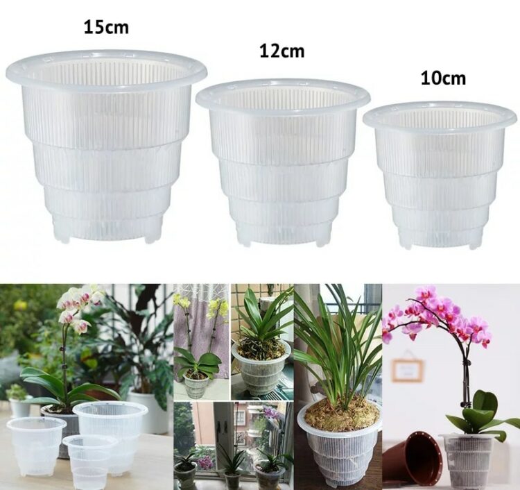 Clear Orchid Flower Planter Pot