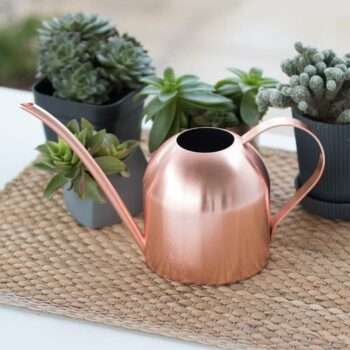 Stainless Steel Watering Can 1500ML - Rose Gold