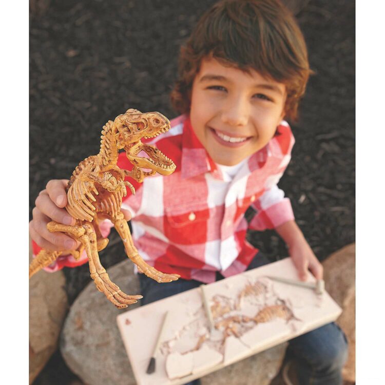Dig It Up! Dinosaur Model (T-Rex)
