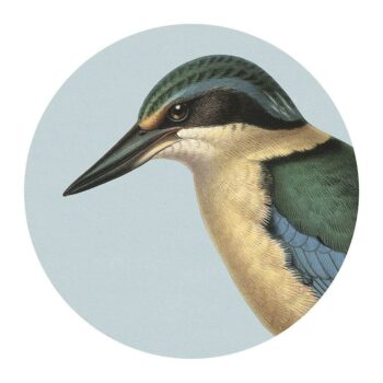 Hushed Blue Kingfisher Placemats - Pack of 2