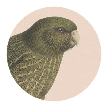 Hushed Pink Kakapo Placemats - Pack of 2