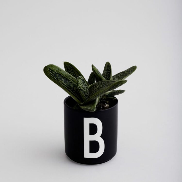 Personal Porcelain Cup - Black - B