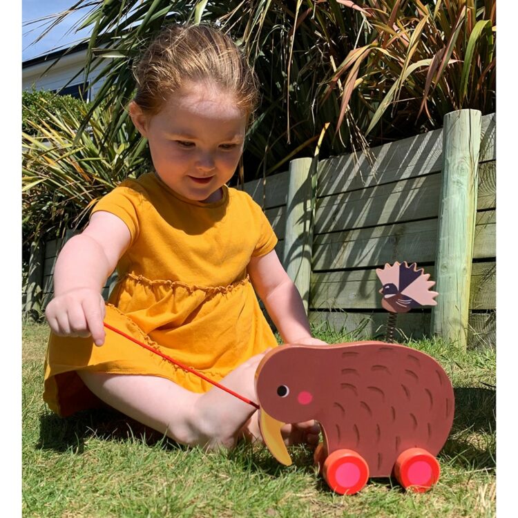 Wheelie Kiwi & Pīwakawaka Friend Pull Along Toy